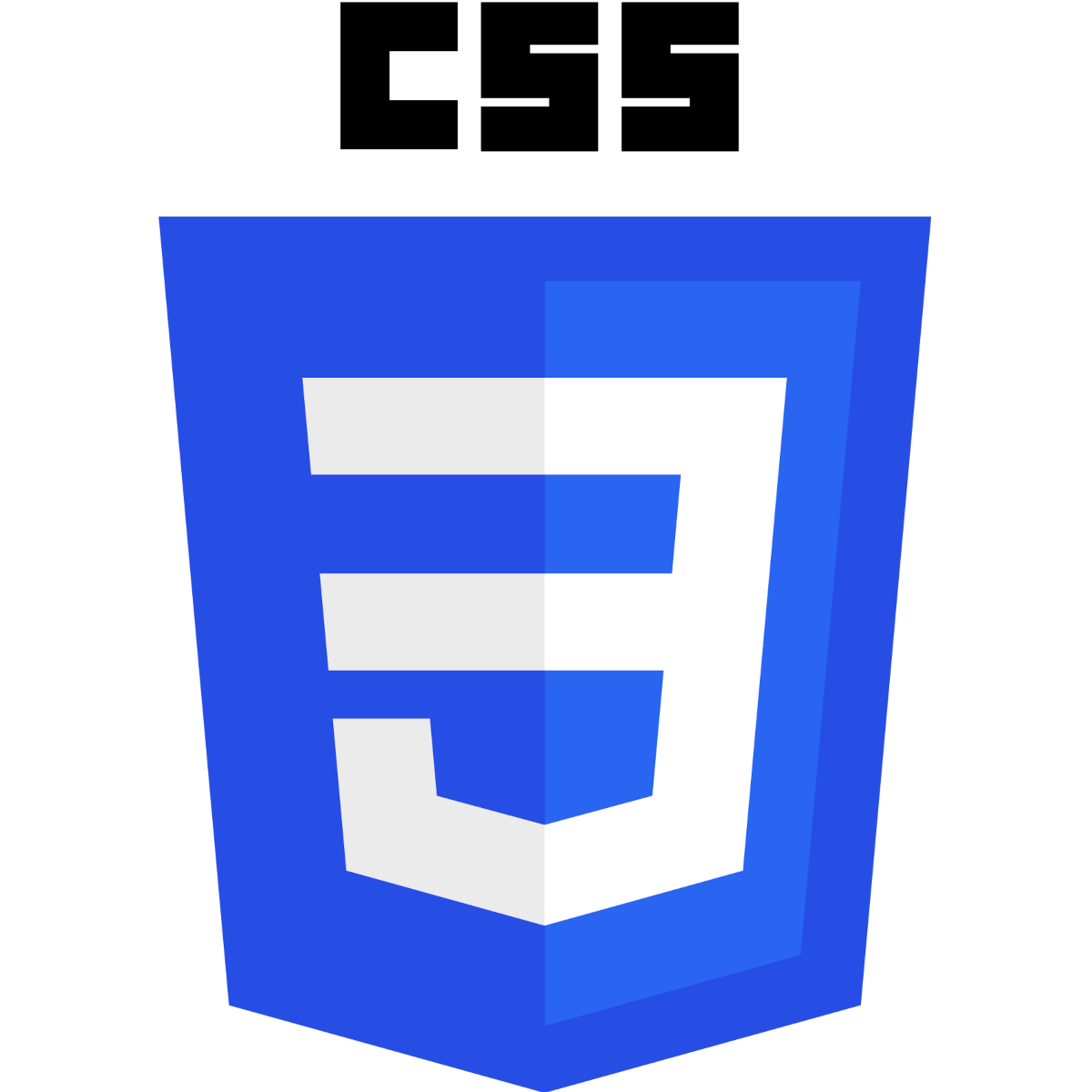 Logo for CSS